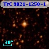 TYC 9021-1250-1