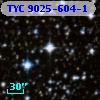 TYC 9025-604-1