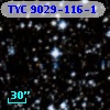 TYC 9029-116-1