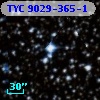TYC 9029-365-1
