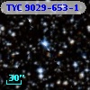 TYC 9029-653-1
