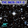 TYC 9029-787-1