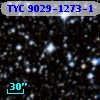TYC 9029-1273-1