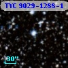 TYC 9029-1288-1