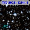 TYC 9029-1294-1