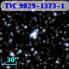 TYC 9029-1373-1
