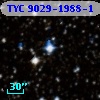 TYC 9029-1988-1
