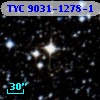 TYC 9031-1278-1