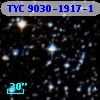 TYC 9030-1917-1