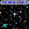 TYC 9029-1250-1