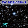 TYC 9029-2258-1