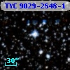 TYC 9029-2848-1