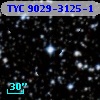 TYC 9029-3125-1