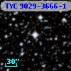 TYC 9029-3666-1