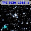 TYC 9030-1019-1