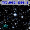 TYC 9030-1308-1