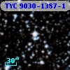 TYC 9030-1387-1