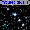 TYC 9030-2013-1