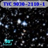 TYC 9030-2110-1