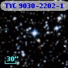 TYC 9030-2202-1