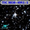 TYC 9030-4981-1
