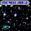 TYC 9031-499-1