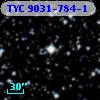 TYC 9031-784-1