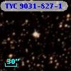 TYC 9031-827-1