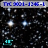 TYC 9031-1246-1