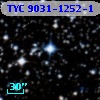 TYC 9031-1252-1