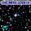 TYC 9031-1258-1