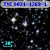 TYC 9031-1269-1