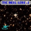 TYC 9031-1391-1