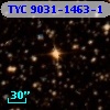 TYC 9031-1463-1