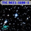 TYC 9031-1600-1