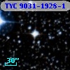 TYC 9031-1928-1