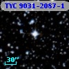 TYC 9031-2087-1