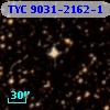 TYC 9031-2162-1