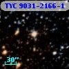 TYC 9031-2166-1