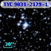 TYC 9031-2179-1