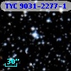 TYC 9031-2277-1