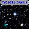 TYC 9031-2494-1