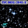 TYC 9031-2841-1
