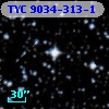 TYC 9034-313-1