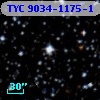 TYC 9034-1175-1