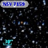 NSV  7159