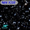 NSV  7237