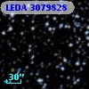 LEDA 3079828