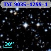 TYC 9035-1288-1