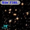 NSV  7381